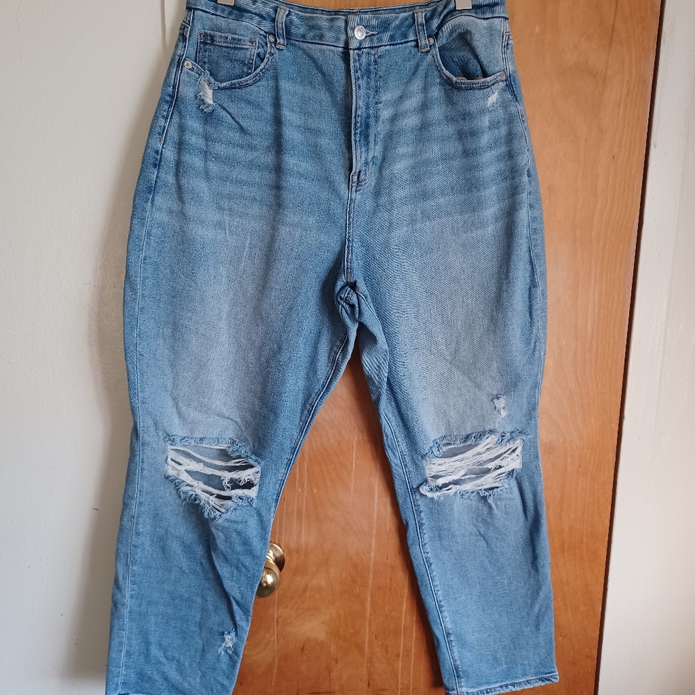 AE Curvy Mom Jeans